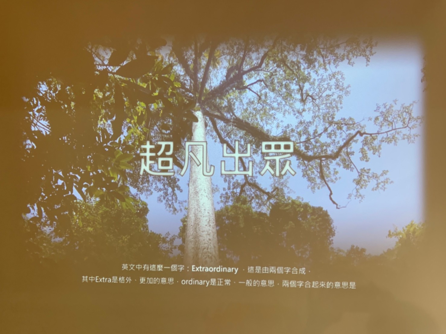 活動照片9