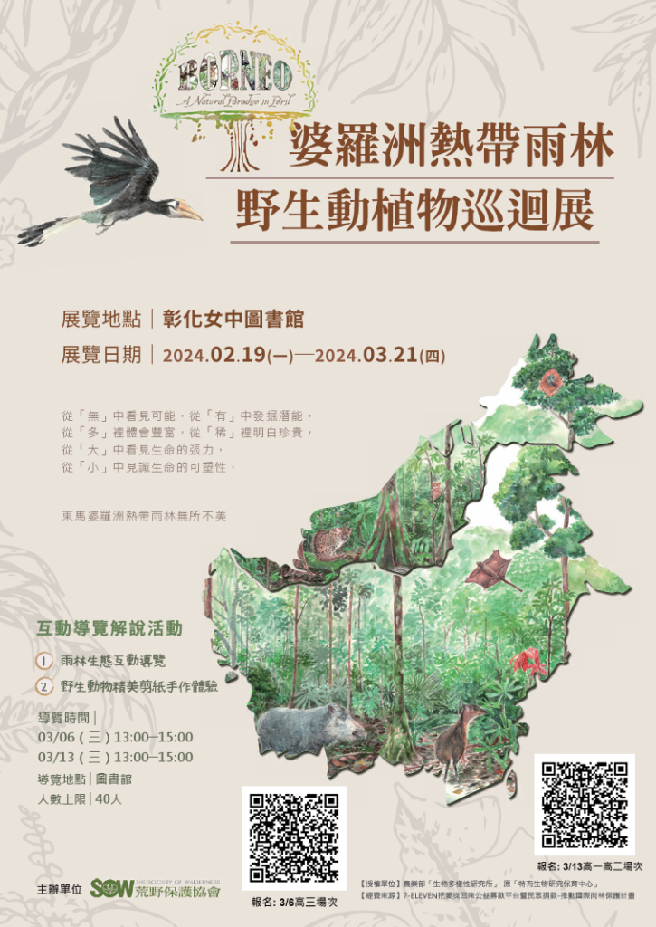 DM海報