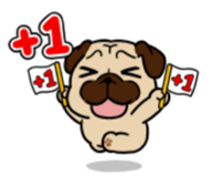 +1